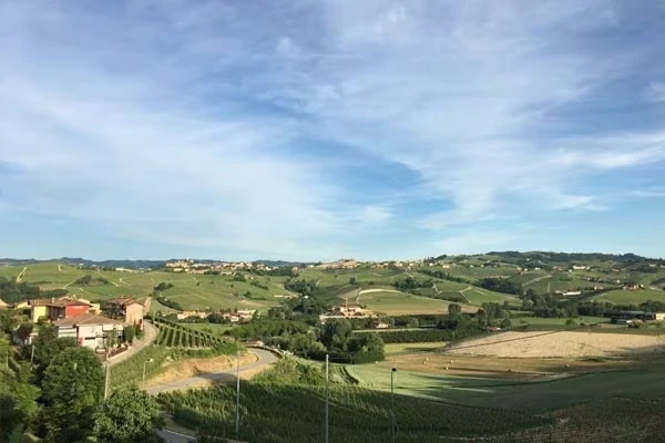 Weinberge_der_lhange