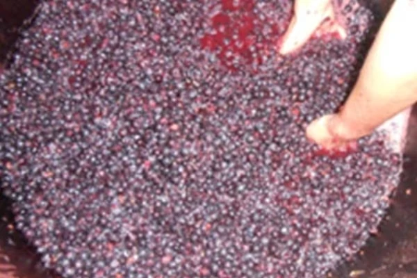 Weinberg Weinberg