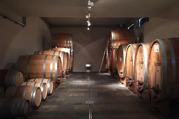 Weinberge_der_lhange